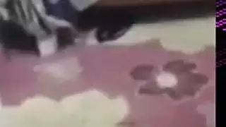 اختصاب جنسي عنيف ربط في السرير