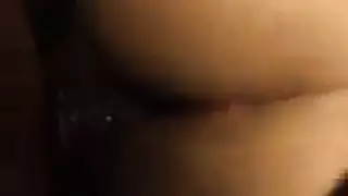 الهرة الطبيعية افضل صديق قريب