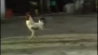 يروحةيشتري هدوم هوا امه