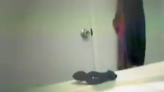 مشعرات بوف اللسان الناضجة البريطاني