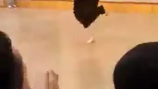 مصريات عاهرات حفلة رقص بورنو صريح في حديقة عامة